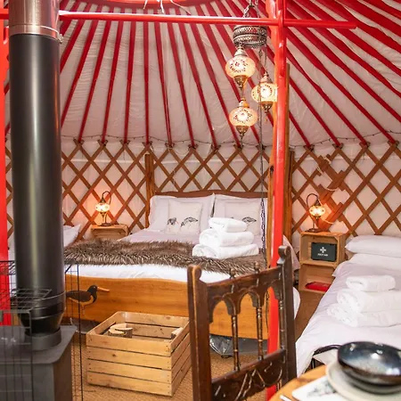 Barn Owl Dom wakacyjny *