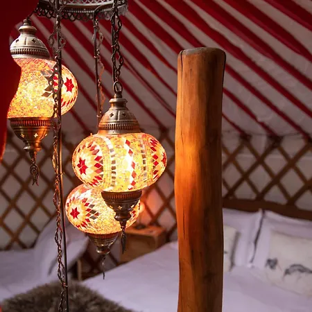 Barn Owl Dom wakacyjny