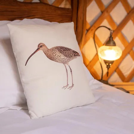 Dom wakacyjny Barn Owl