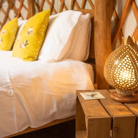 Barn Owl Dom wakacyjny Askrigg