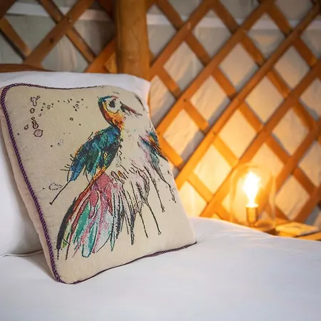 Dom wakacyjny Barn Owl Askrigg