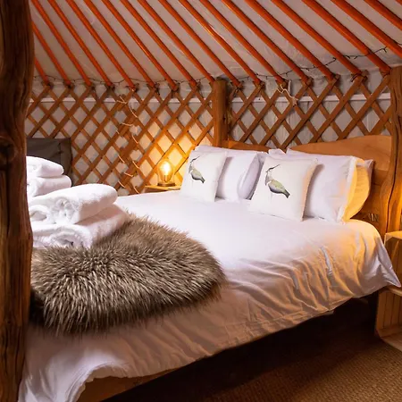 Barn Owl Dom wakacyjny *