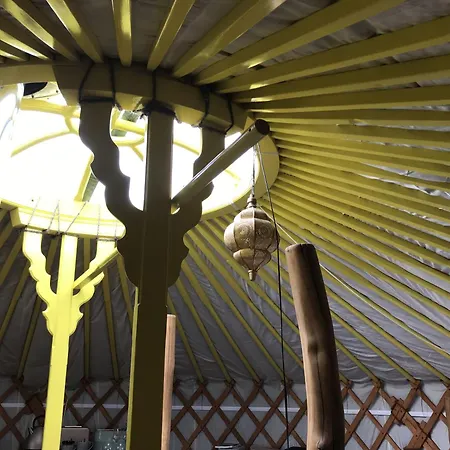 Barn Owl Dom wakacyjny Askrigg