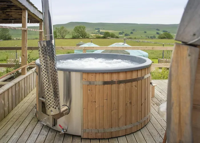 Barn Owl 阿斯克里格